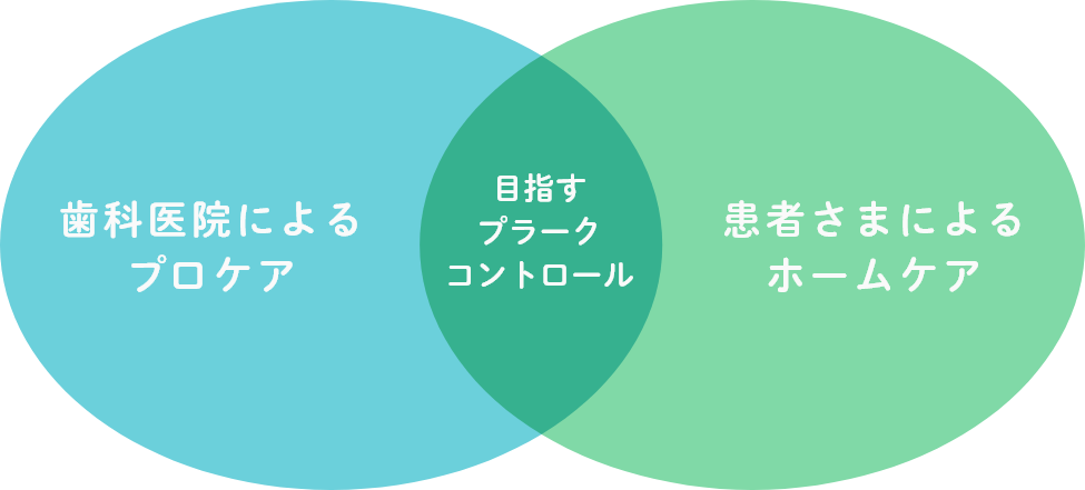 プラークコントロール